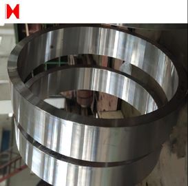 Steel Die Forging Plate 8000mm Stainless Steel Flange